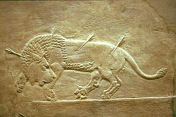 Wounded lion, detail of relief from royal palace at Nineveh (Kuyunjik). ca. 668-627 B.C.